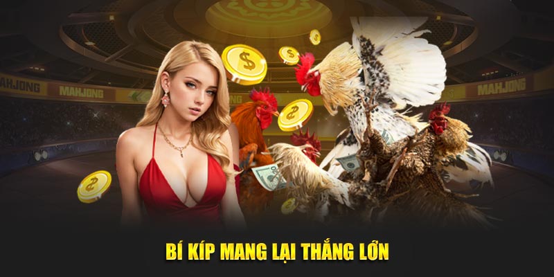 Bí kíp mang lại thắng lớn