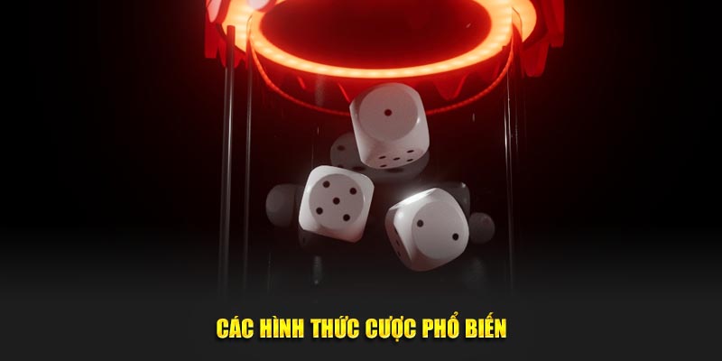 Các loại hình cược phổ biến