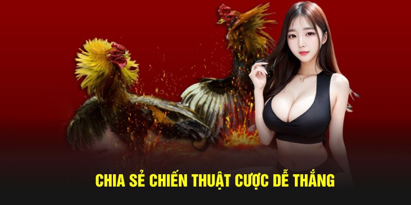 Chia sẻ chiến thuật cược dễ thắng