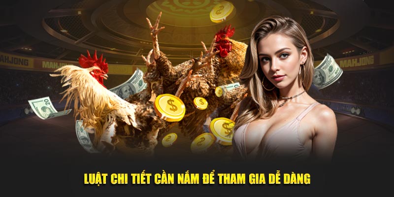 Luật chi tiết cần nắm bắt để tham gia dễ dàng