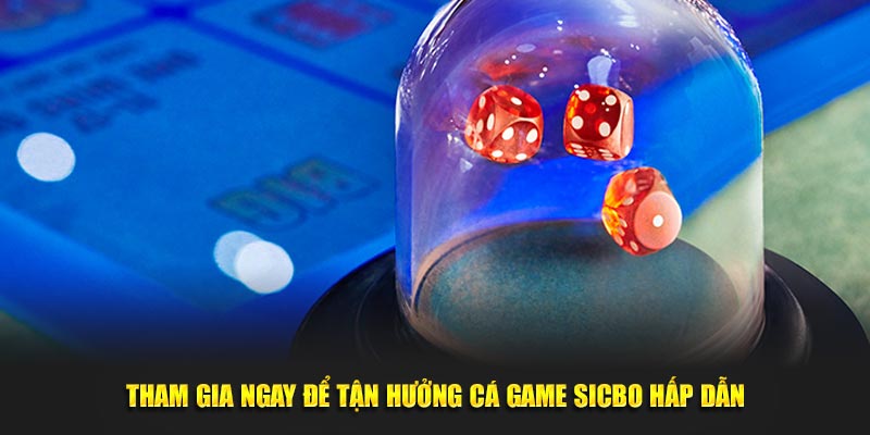 Tham gia ngay để tận hưởng cá game Sicbo hấp dẫn