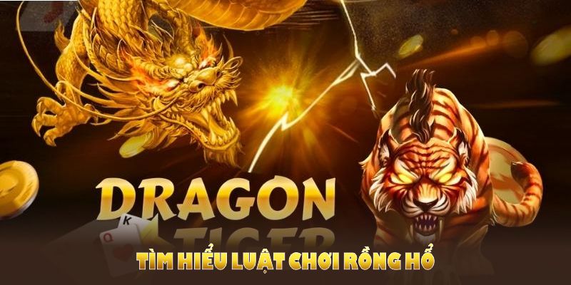 Tìm hiểu Luật chơi Rồng Hổ để tham gia và nâng tầm chiến thắng